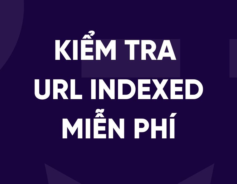 Công Cụ Kiểm Tra Tình Trạng Index URL Trên Google